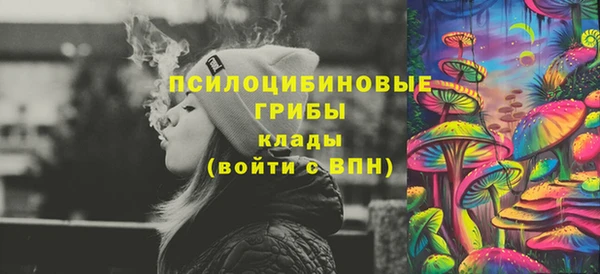 дмт Осташков