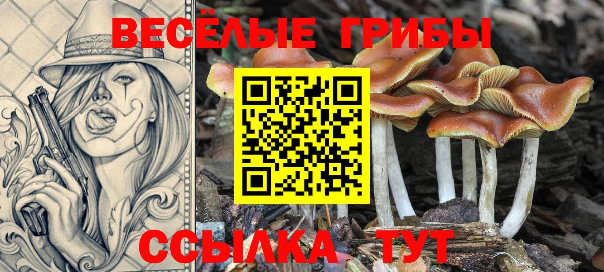 Галлюциногенные грибы мухоморы  Псилоцибиновые грибы GOLDEN TEACHER  Вход с VPN  Балабаново 