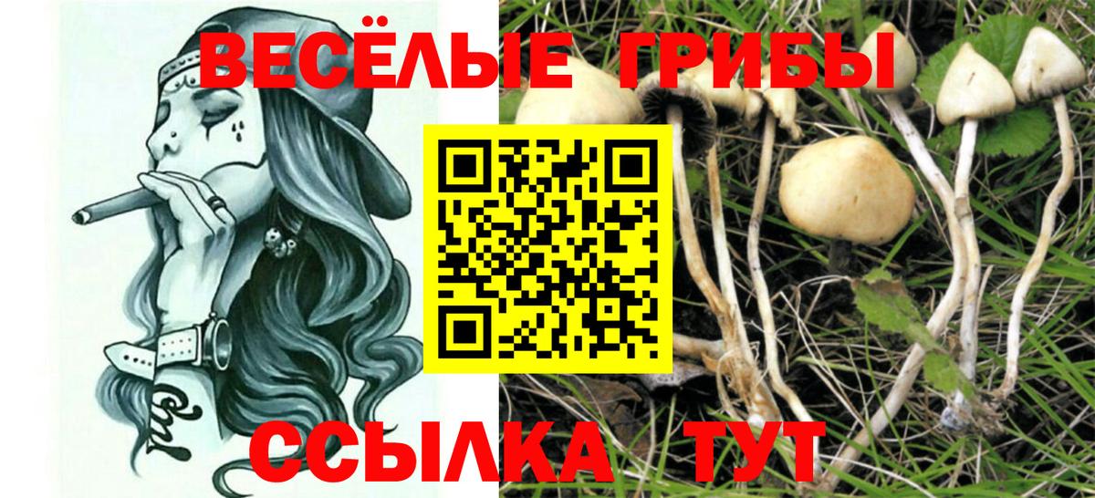 Псилоцибиновые грибы MAGIC MUSHROOMS Балабаново