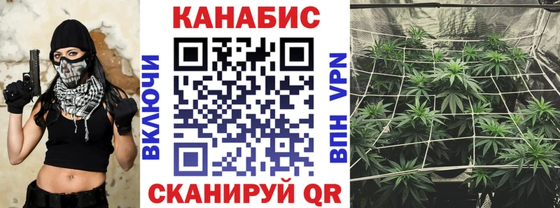 как найти   Балабаново  Бошки марихуана индика 